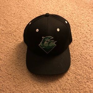 Pink Dolphin SnapBack Hat